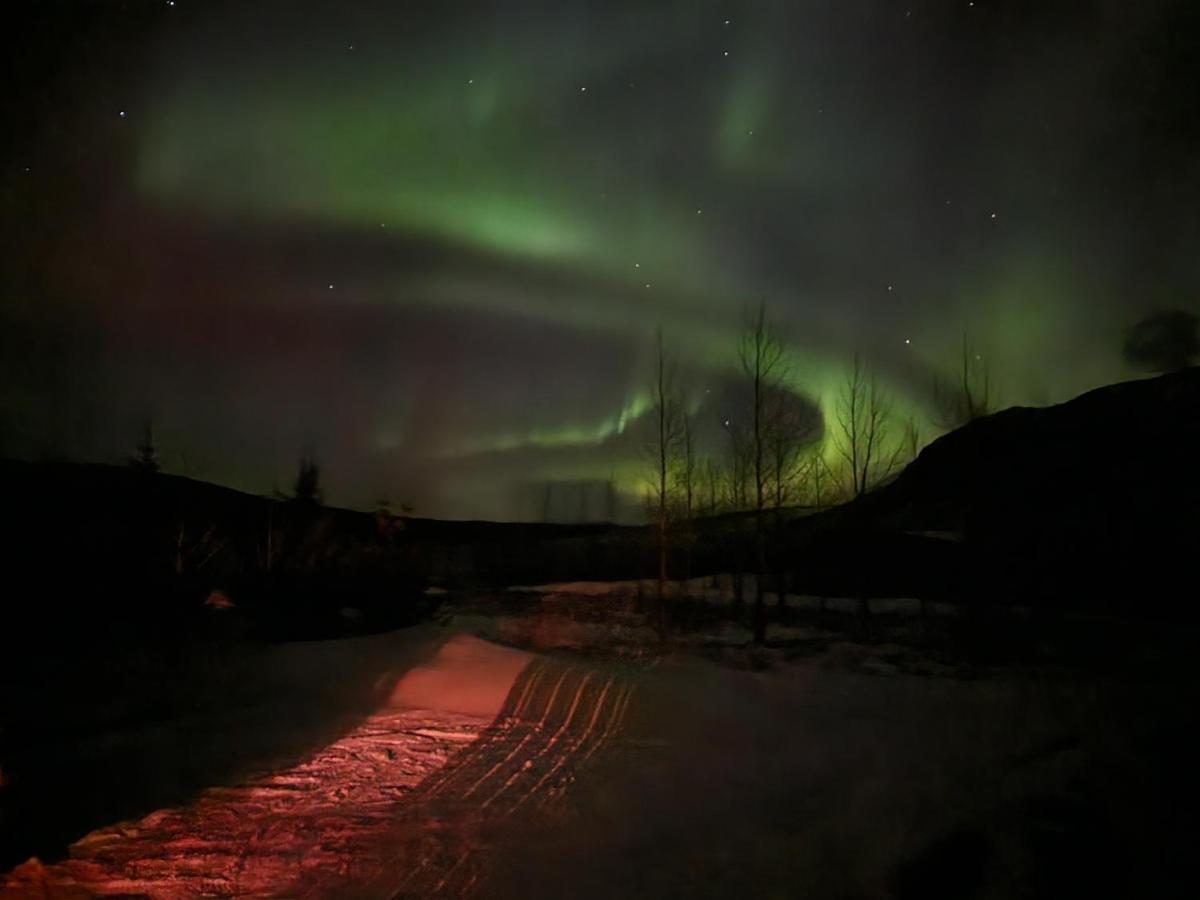 Villa Golden Circle Cabin, Hot Tub Geysir Exterior foto