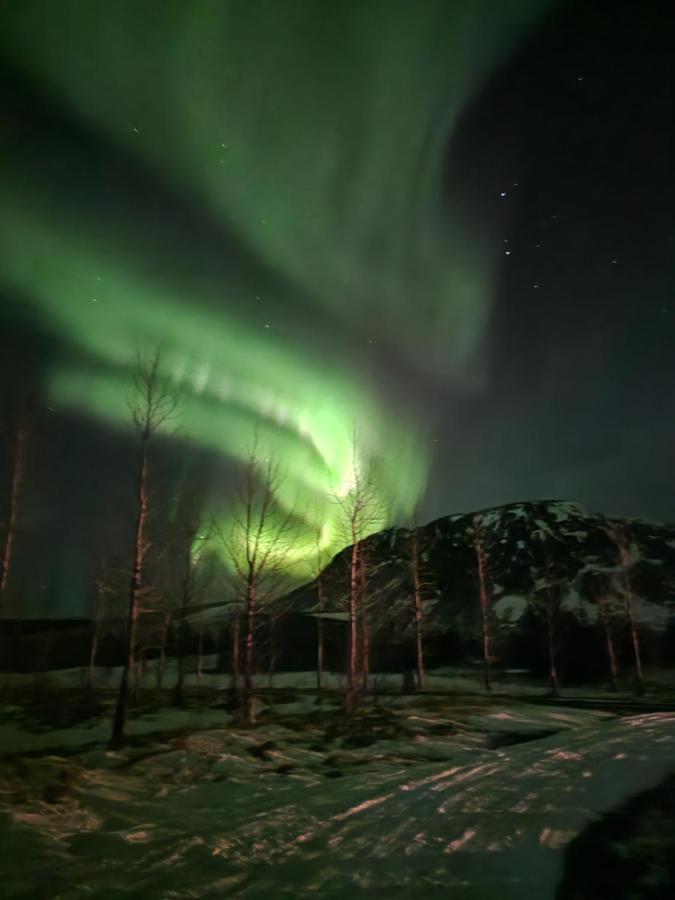 Villa Golden Circle Cabin, Hot Tub Geysir Exterior foto